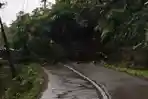 Awas! Jalan Poros Paguyangan-Kaligoa Brebes Tertutup Longsor, Evakuasi Terkendala Cuaca