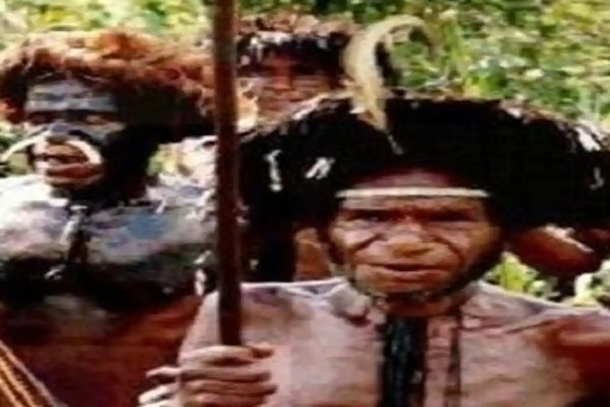 Suku Fore Hidup di Papua Nugini, Gemar Makan Otak Manusia, Ritual Mereka Sangat Mengerikan!