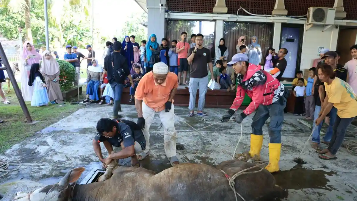 Ini Dukungan Pertamina Patra Niaga Kilang Cilacap ke Peternak Sapi-Kambing Lokal
