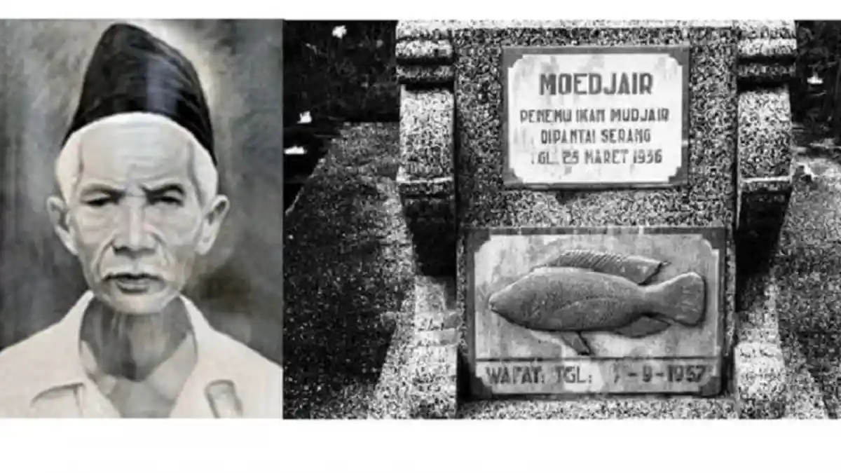 SOSOK Mbah Moedjair, Penemu Ikan Mujair, Bermula Ingin Budidaya Ikan Laut