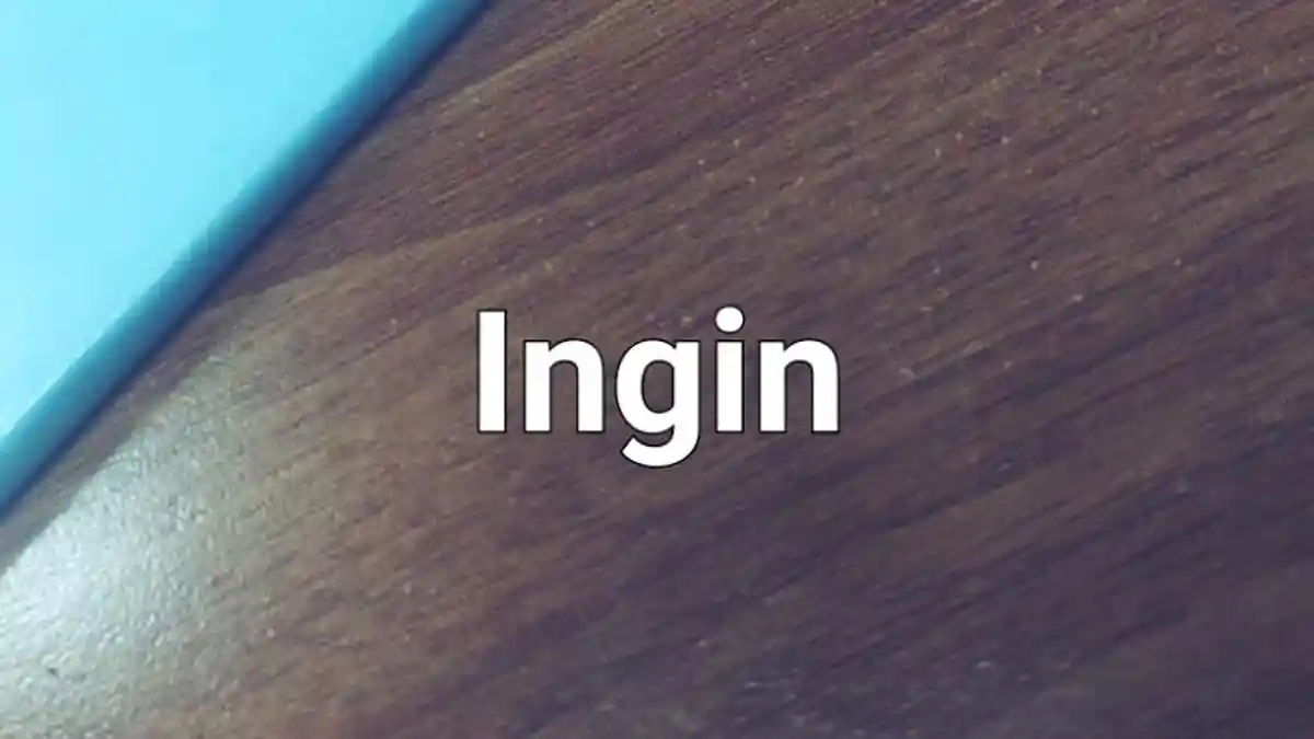 Lirik Lagu Ingin - FRisnandar, Kuingin Bersatu Di Rumah Yang Sama