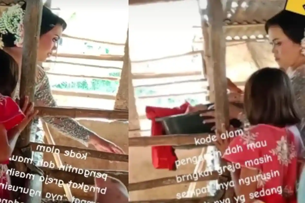 Sudah Mau Pemberkatan, Calon Pengantin Wanta Ini Masih Sibuk Urus Babi di Kandang: Awas-awas