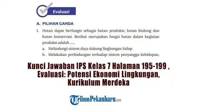 Tribun