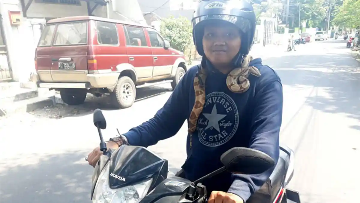 Cerita Yuda, Remaja yang Suka Bawa Ular Berkeliling Naik Sepeda Motor