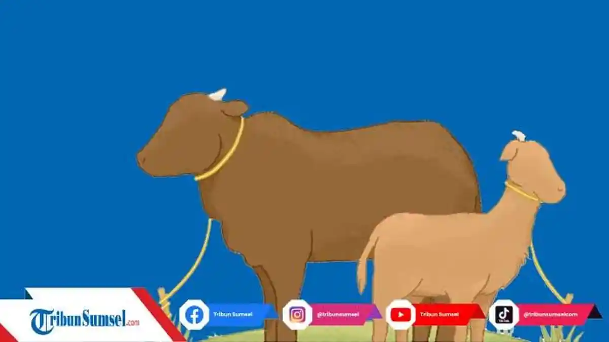 30 Pantun Idul Adha Lucu dan Menghibur, untuk Update Status di Media Sosial
