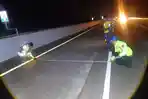 Dua Penumpang Sigra Tewas Setelah Mobil Tabrak Truk di Tol Cisumdawu Sumedang