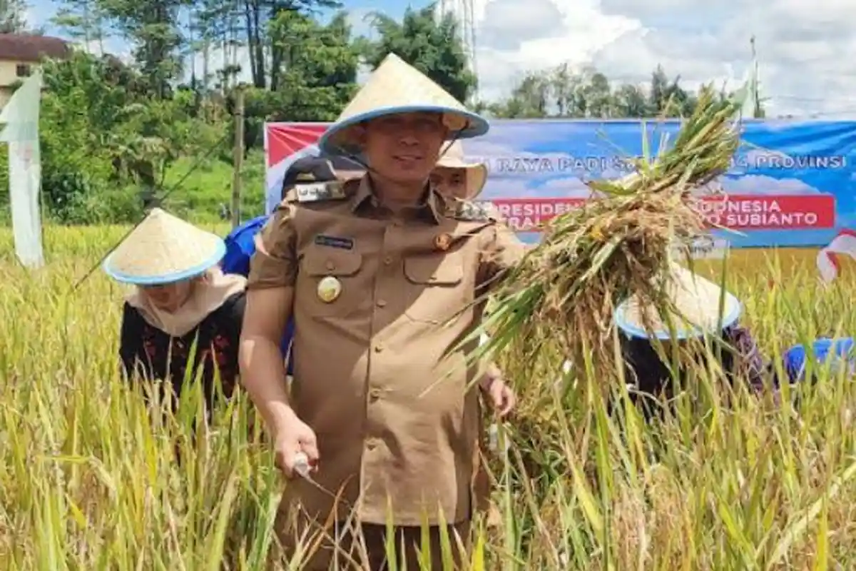 Pemkot Pagar Alam Aktifkan Pusat informasi Demi Kontrol Harga Komiditi Sayur, Atur Jenis Tanaman