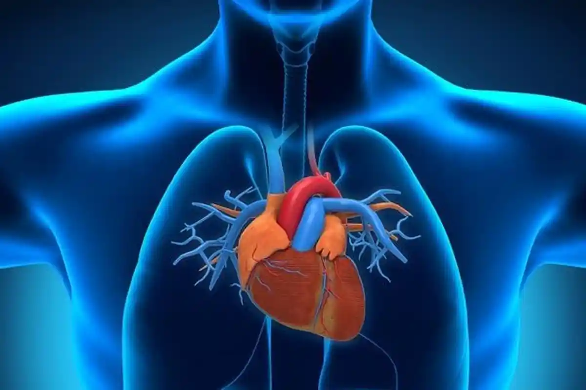 6 Tips Menjaga Kesehatan Jantung ala dr Zaidul Akbar, Termasuk Rutin Konsumsi Ini