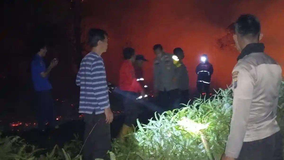 5 Hektare Lahan di Desa Peonea Morowali Utara Dilalap Api, Pemadaman Berlangsung 6 Jam