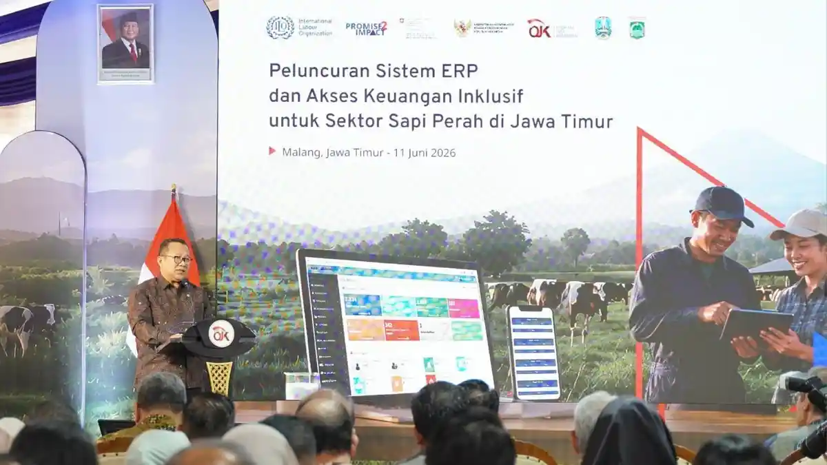 OJK dan ILO Luncurkan ERP di KAN Jabung Malang, Permudah Akses Permodalan Bagi Peternak Sapi Perah