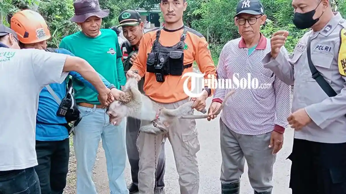 Kera Peliharaan yang Serang Bocah di Boyolali Ditembak, Pencarian Sempat Terkendala Penerangan 
