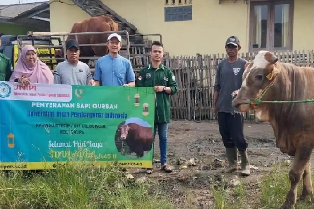 Unipi Tangerang Bagikan 8 Sapi Kurban Sambut Idul Adha 2024