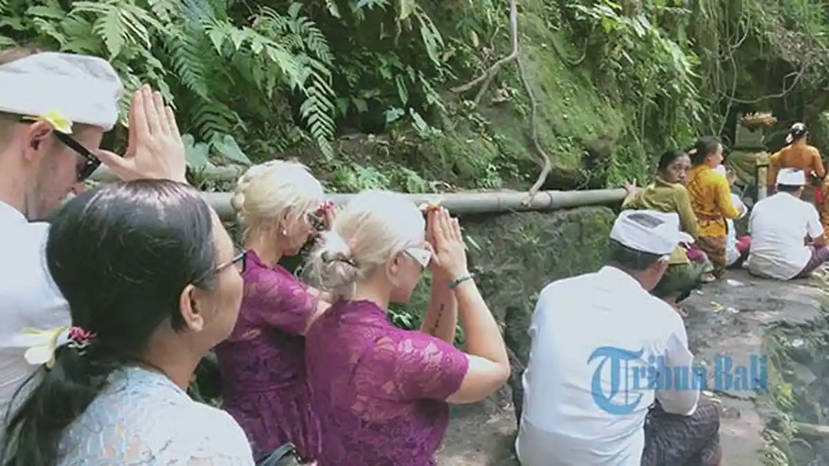 2 Bule Turut Sembahyang & Mengikuti Prosesi Pecaruan Guru Piduka di Pura Beji Monkey Forest