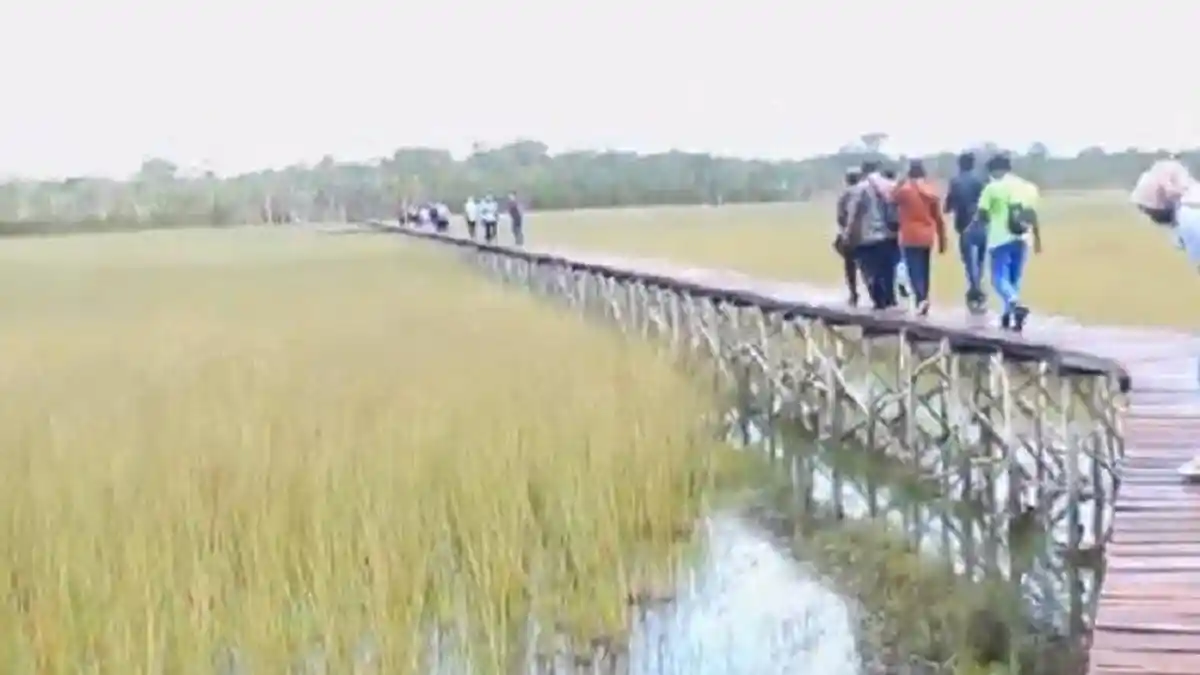 Danau Purun, Spot Wisata Ikonik di Pulau Seliu Membalong Belitung