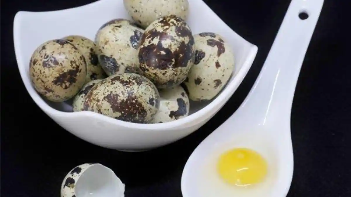 Ini Manfaat Telur Puyuh, Mencegah Penyakit Kronis hingga Kesehatan Jantung