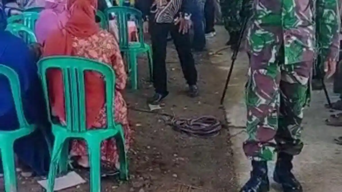 Viral Beberapa Anggota TNI Bubarkan Paksa Hajatan di Grobogan dengan Kasar, Dandim Minta Maaf