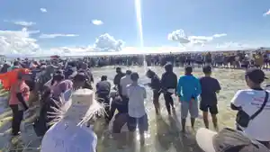 Festival-Manee-dfgwertgerty.jpg