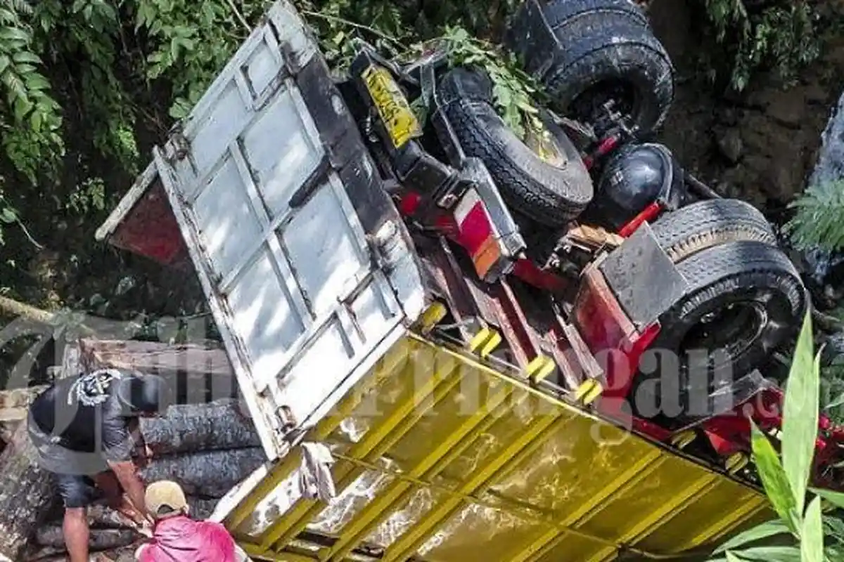 Kecelakaan Maut Akibat Tak Kuat Menanjak, Truk Pengangkut Kayu Terjun ke Jurang, Sopir Tewas