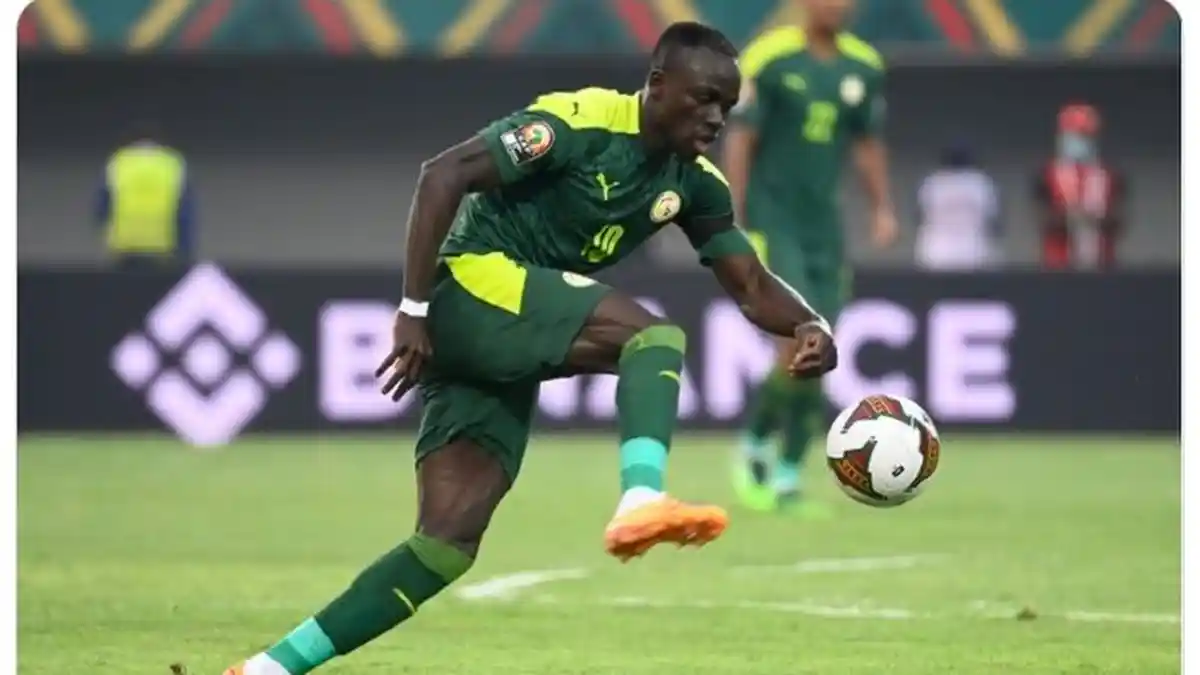 Prediksi Belanda vs Senegal di Piala Dunia 2022, Senegal Tanpa Sadio Mane Belanda Menang Mudah