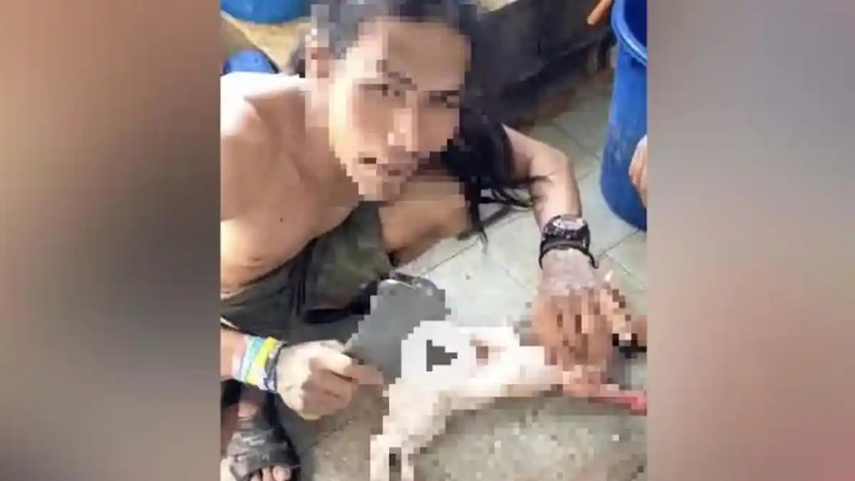 Video Viral Kucing Dikuliti, Malaysia Tangkap Warga Asing
