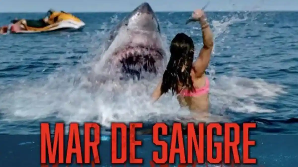 Sinopsis Shark Bait, Tayang 21 September 2024 di Bioskop Trans TV