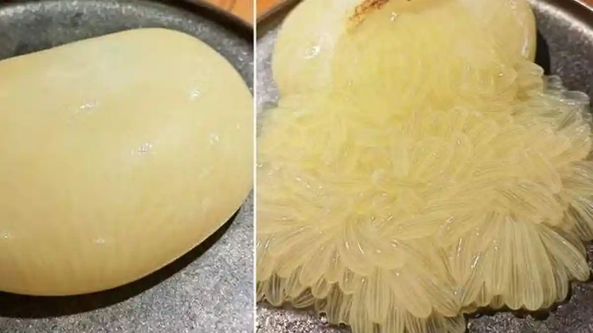 Sajikan Menu Bergaya Alien, Sebuah Resto Picu Kontroversi
