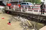 Miris, Sungai Kendal Kembali Dipenuhi Sampah, Nyangkut di Bawah Jembatan