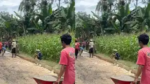 Warga-Kumpulkan-Rp-15-Juta-dari-Live-TikTok-untuk-Perbaiki-Jalan-Desa-Padahal-Pemkab-Punya-Rp-15-M.jpg