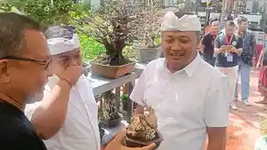Pameran-Bonsai-ASPAC-Di-Gianyar-Bali-Bupati-Beli-Bonsai-Puluhan-Juta.jpg