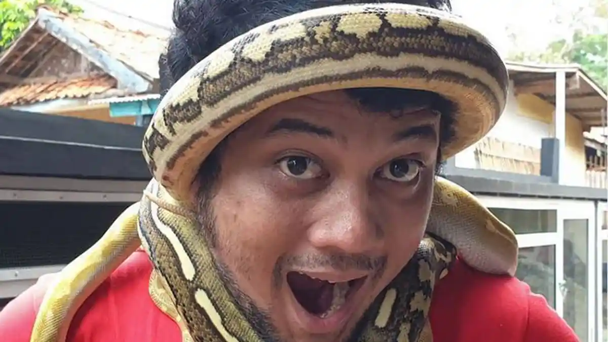 Panji Petualang Turut Bicara Terkait Pawang Ular yang Tewas Digigit King Kobra
