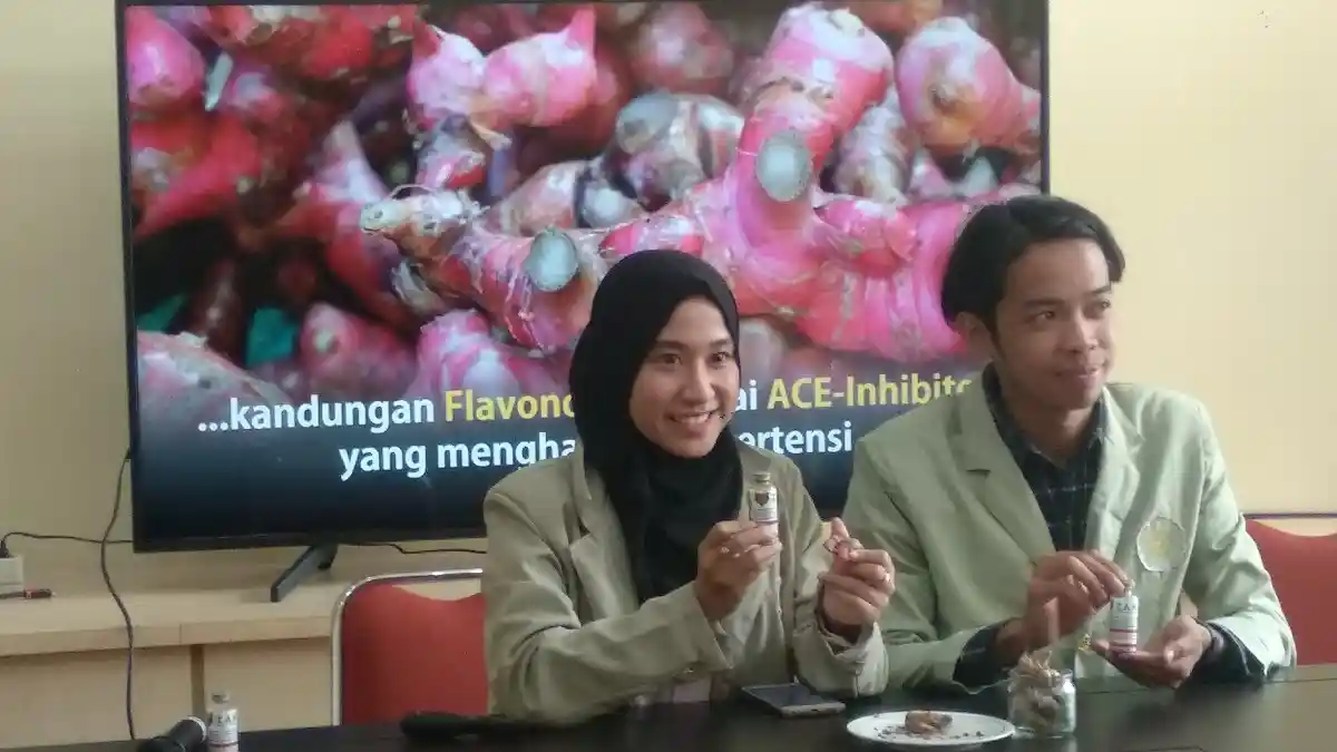 Inovasi Jahe Merah sebagai Obat Penyakit Ginjal