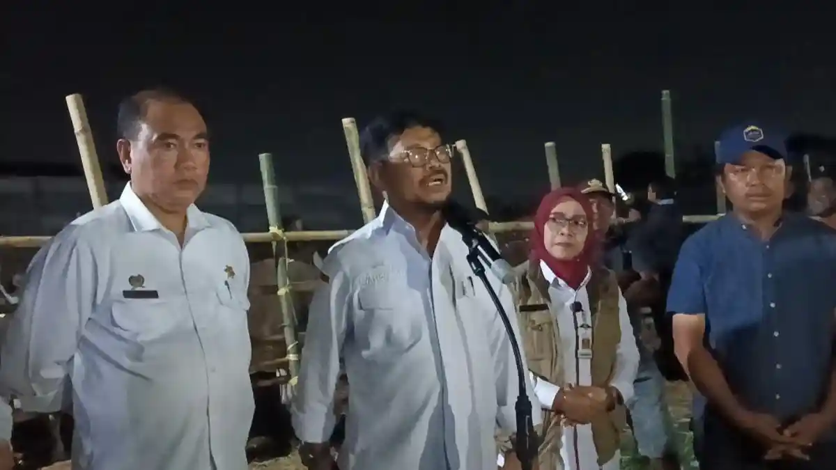 Aman, Stok Hewan Kurban Idul Adha 2023 Capai 3,2 Juta Ekor