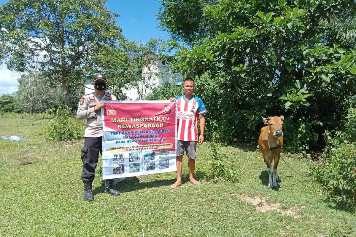 Antisipasi PMK, Personel Polsek Kota Baru Monitoring, Pengecekan &amp; Beri Imbauan Para Peternak