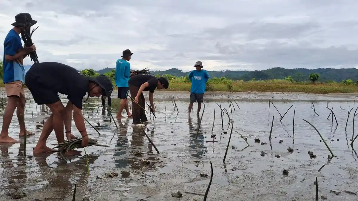 Pemuda Desa Oncone Raya Parigi Moutong Tanam 2.600 Mangrove, Antisipasi Bencana dan Perubahan Iklim