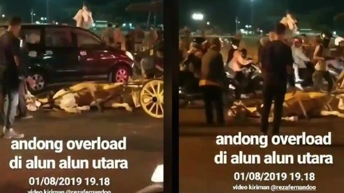 VIDEO Seekor Kuda Penarik Andong di Jogja Tersungkur di Tengah Jalan