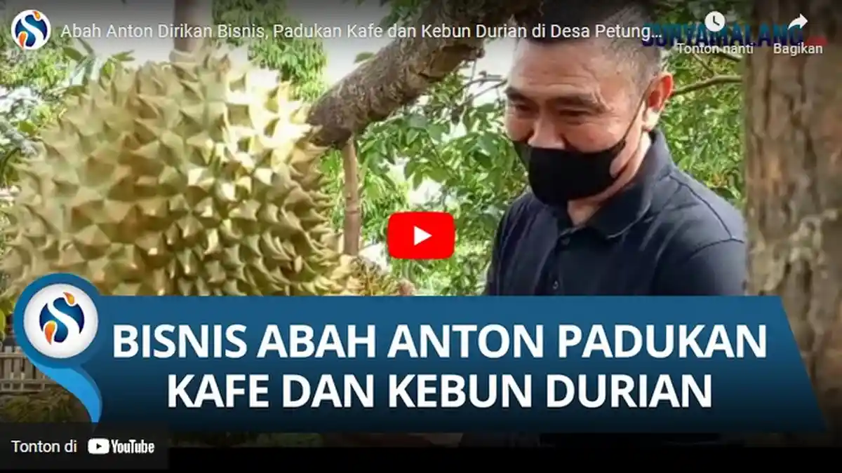 Serunya Berburu Durian di Kebun Milik Mantan Walikota Malang Abah Anton