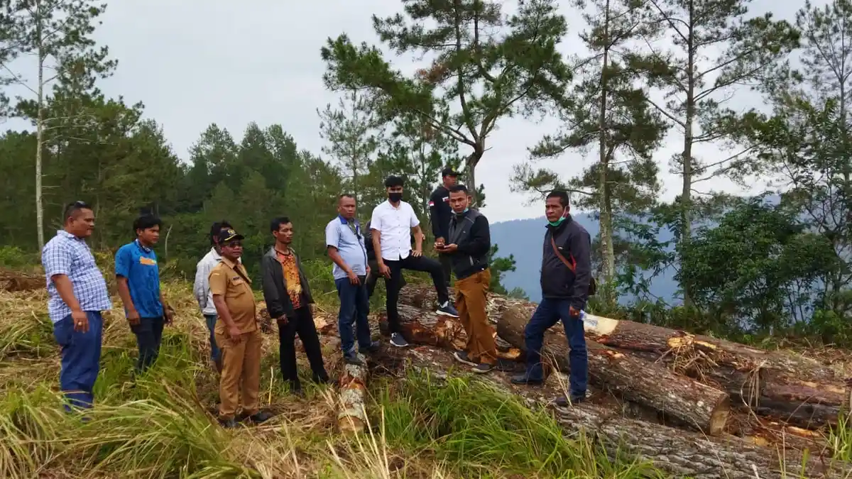 Mafia Ilegal Logging Beraksi Bawa Senjata Laras Panjang, Kapolres Tapsel Ngaku Tidak Tahu