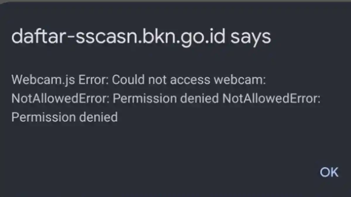 Cara Mengatasi Error Saat Daftar Akun SSCASN 2024, Dianjurkan Akses Lewat Laptop attau PC
