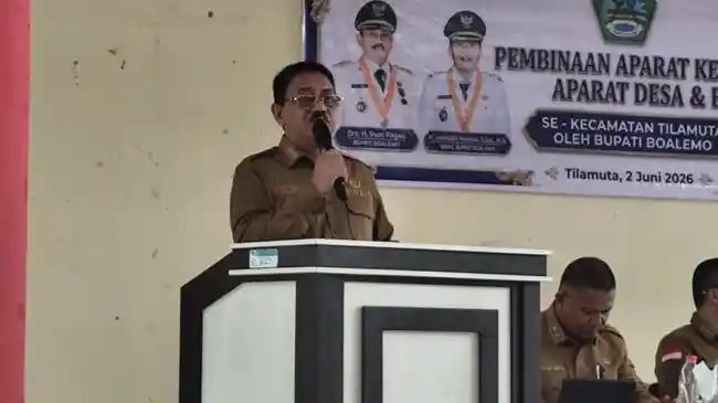 Tribun