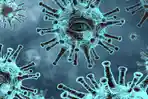 ilustrasi-virus-corona-122.jpg
