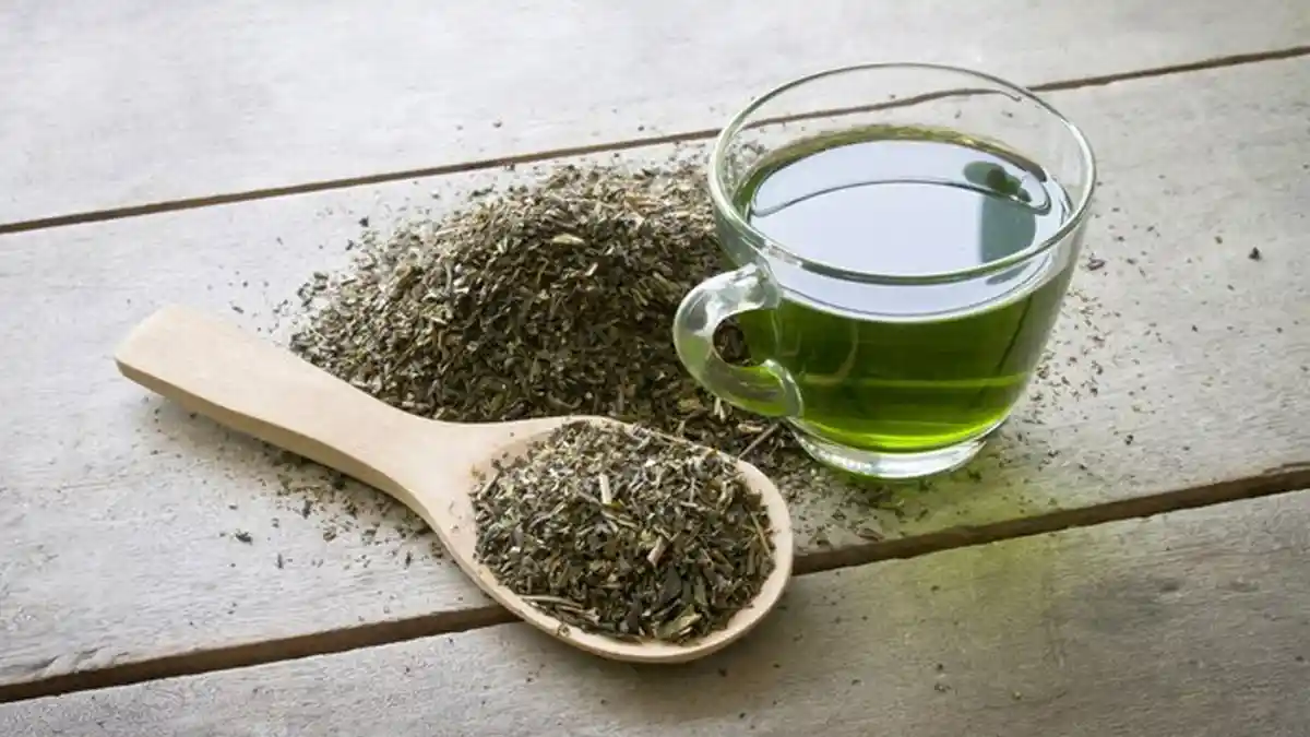 Tata Cara Olah Teh Hijau untuk Menu Diet, Perhatikan Proses Menyeduh, Minum Setelah Sarapan