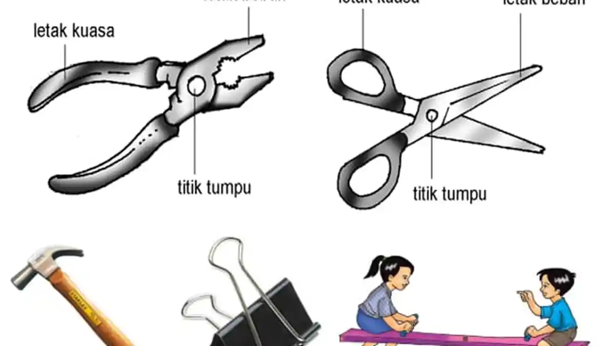 Jenis-jenis Tuas