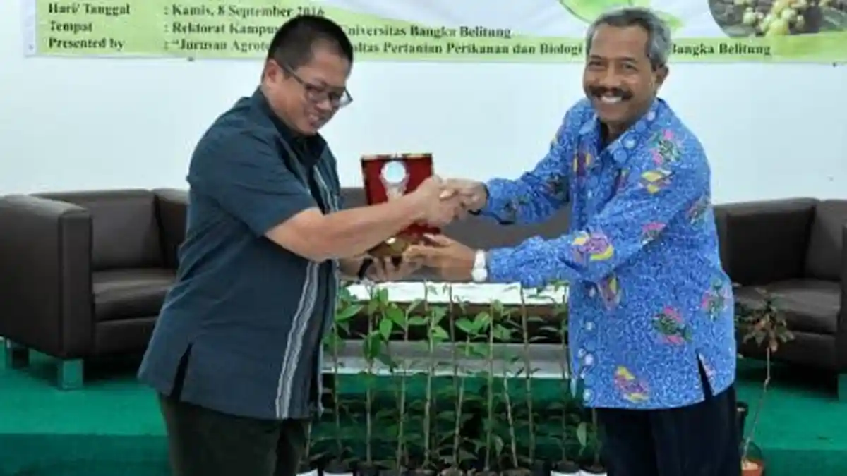 Rektor UBB Ajak Semua Pihak Kembalikan Kejayaan Lada