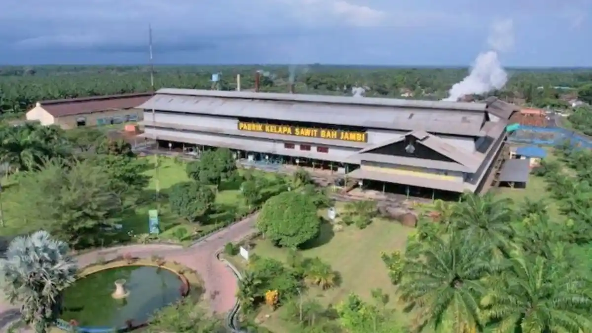 Holding Perkebunan Nusantara Lewat PalmCo Perluas Akses Digital bagi Sekolah di Pelosok