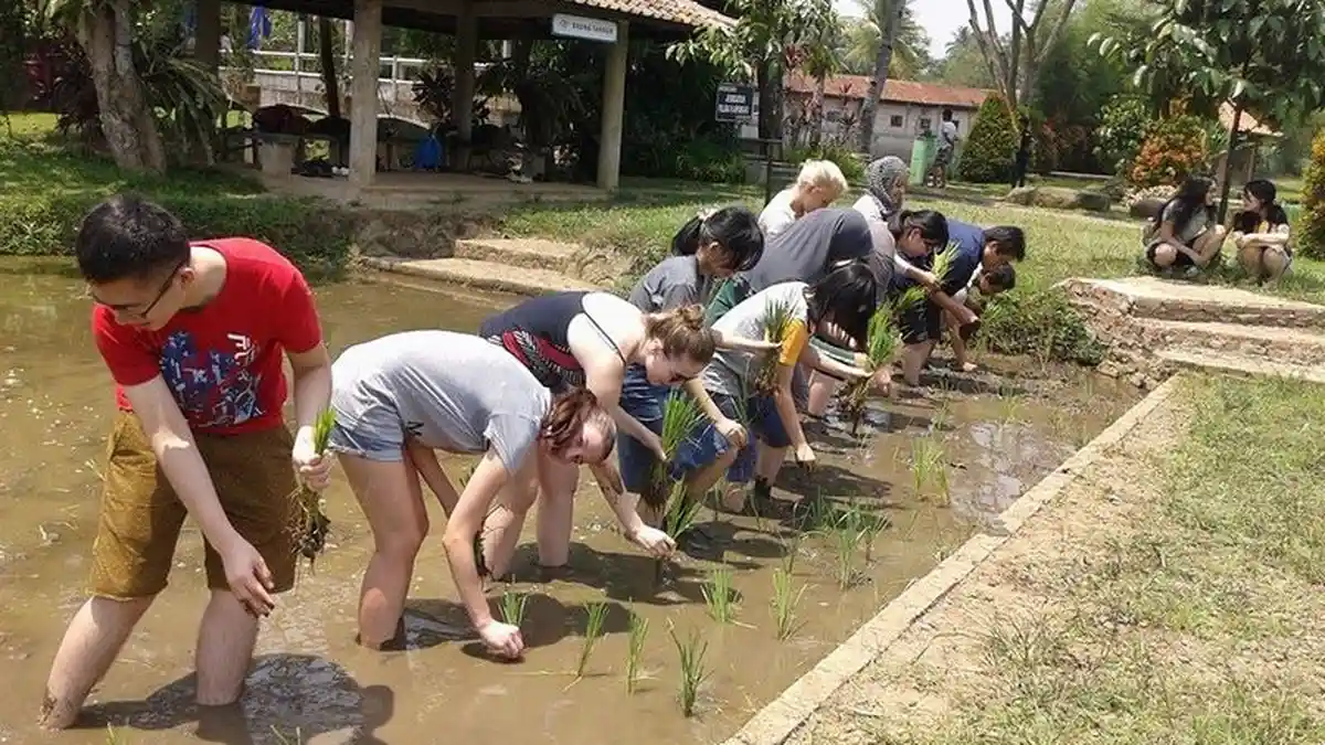 Kampung Wisata Cinangneng Pelopor Wisata Edukasi Desa di Bogor