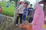 Dua-petani-di-Gresik-tersambar-petir-saat-berada-di-area-persawahan-satu-orang-tewas.jpg