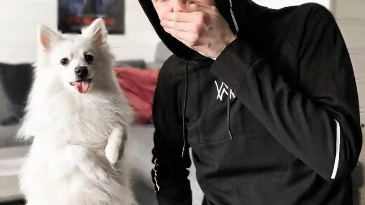 Profil Alan Walker, Musisi Tampan nan Misterius yang Selalu Memakai Masker