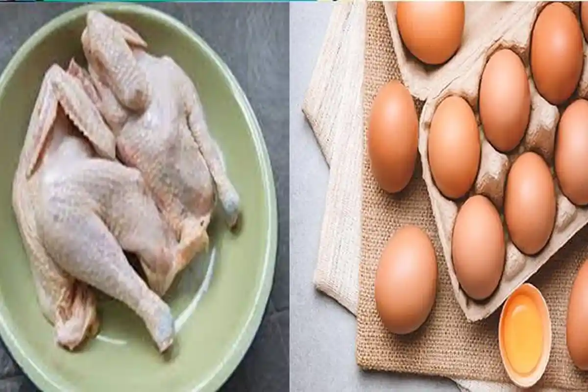 Kenali Bansos Permakanan Untuk Lansia 2023, Lengkap Dengan Cara Daftar dan Syarat Mendapatkannya!