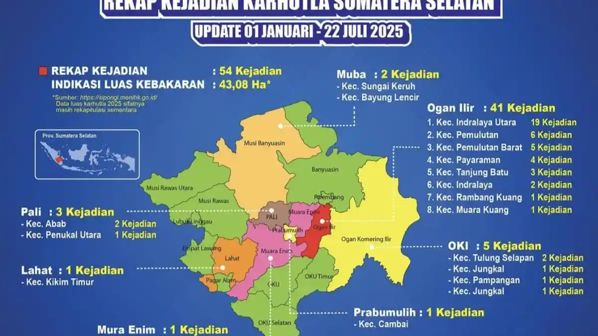 Daftar 54 Kejadian Karhutla di Sumsel Sepanjang 2025, Berikut Rinciannya