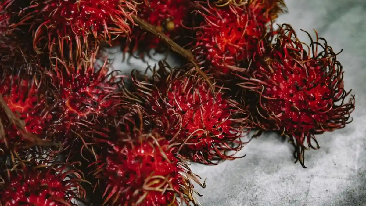3 Kabupaten Penghasil Buah Rambutan Terbanyak di DIY, Bantul Ranking 2